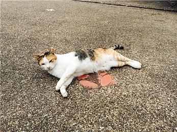 《幽灵行者2》官方宣布游戏支持简繁体中文